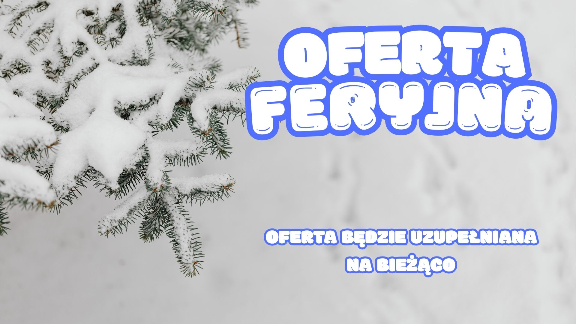 Oferta feryjna 2026